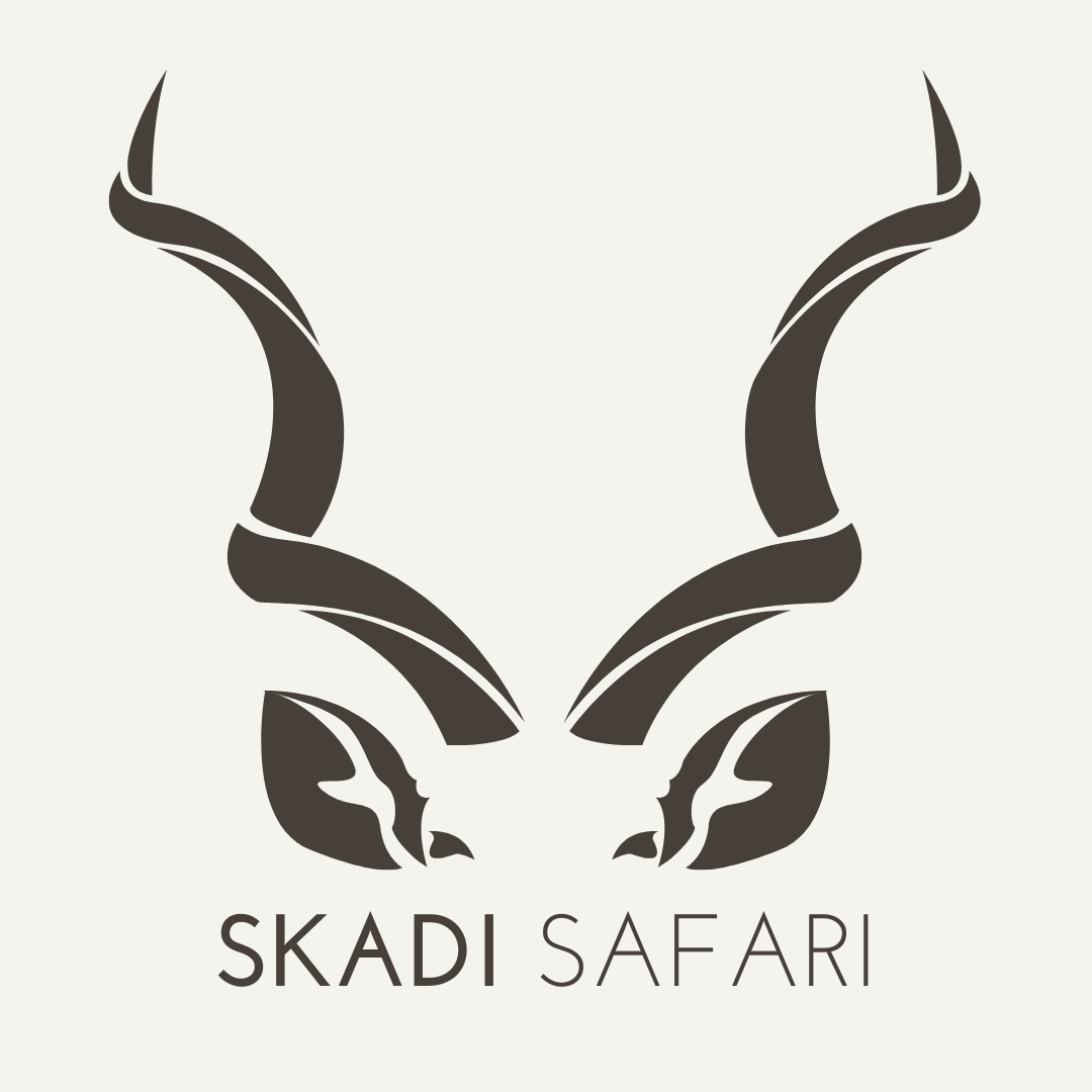 Dark logo Skadi Safari logo